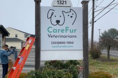 1_CF_Vets_08